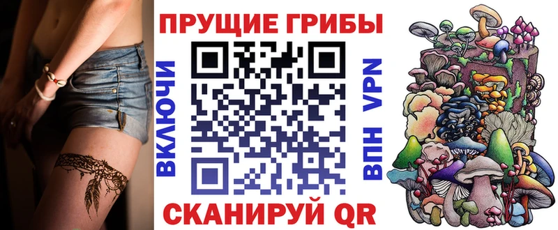 Псилоцибиновые грибы Cubensis Туран